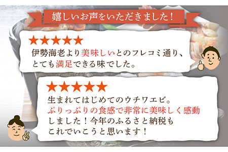 【12回定期便】ウチワエビしゃぶしゃぶA刺身・半身セット 600g【ひばり】[KAA233]/ 長崎 平戸 魚介類 海老 エビ ウチワエビ 季節限定 ご当地 グルメ 刺身 しゃぶしゃぶ 定期便