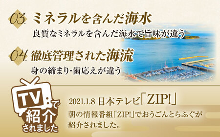 【12回定期便】活〆おうごんとらふぐ刺身セット2人前【（有）松永水産】[KAB155]/長崎 平戸 ふぐ 魚介類 ふぐ 魚 刺身 ふぐ とらふぐ ふぐ ポン酢 とらふぐ 平戸産とらふぐ