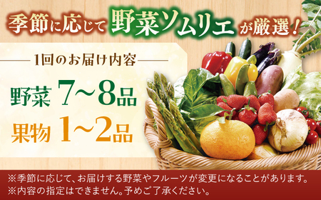 【6回定期便】ソムリエ厳選安心の地元野菜と果物のお任せセット【株式会社ひらど新鮮市場】[KAB160]/ 長崎 平戸 野菜 果物 キャベツ アスパラガス ナス 大根 かぶ ミニトマトトマト 玉ねぎ いちご 定期便