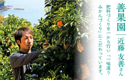 佐賀県より産地直送 JAさが 祐徳（ゆうとく）みかん 品種：寿