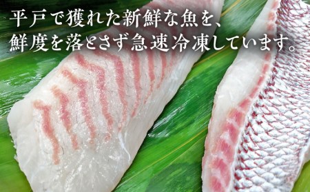 【12回定期便】鮮魚 6人前 詰め合わせ 900g【百旬館】[KAK040]/ 長崎 平戸 魚介類 魚 刺身 ブロック ヒラス ひらす ブリ ぶり 鯛 タイ たい 急速冷凍 真空 パック定期便