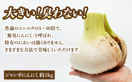 先行予約】【季節限定】ジャンボにんにく約1kg・新玉葱約5kg 先行予約】【季節限定】ジャンボにんにく約1kg・新玉葱約5kg