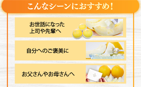 【先行予約】最高糖度15度で甘味たっぷり平戸産メロンイエローキング合計5kg前後3?9玉【株式会社ひらど新鮮市場】[KAB200]