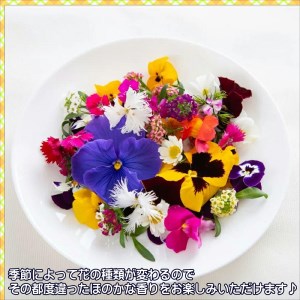 お料理の仕上げの一振りで食卓に彩りを　エディフルフラワーソルト3種の花びらセット【B1-128】