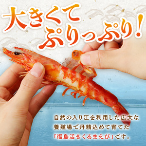 くるまえび みそ漬け200g×2P( エビ 海老 えび 福島産 車エビ 海老 えび 人気 新鮮 養殖 くるまえび 味噌漬け 自家製味噌 魚貝類 魚介 魚介類 海鮮 おいしい おすすめ 長崎県 味噌 みそづけ 食品 海鮮類 )【B4-074】