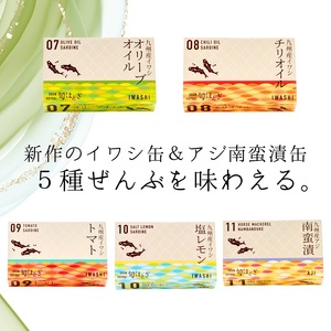 缶詰工場直送 「旬ほとぎ」イワシ缶＆アジ南蛮漬缶　5種類の味わい15缶( ふるさと納税 アジ缶 イワシ缶 缶詰 イワシ アジ 南蛮漬 いわし ご飯のお供 非常食 保存食 送料無料 )【B2-155】