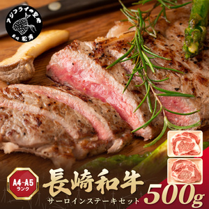 【A4～A5】長崎和牛サーロインステーキセット 500g(250ｇ×2枚)( 肉 牛肉 牛 長崎和牛 国産牛 サーロイン ステーキ ステーキ肉 お取り寄せ プレゼント ギフト 送料無料 人気 美味しい 返礼品 おすすめ )【B6-033】