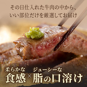 【A4～A5】長崎和牛サーロインステーキセット 500g(250ｇ×2枚)( 肉 牛肉 牛 長崎和牛 国産牛 サーロイン ステーキ ステーキ肉 お取り寄せ プレゼント ギフト 送料無料 人気 美味しい 返礼品 おすすめ )【B6-033】