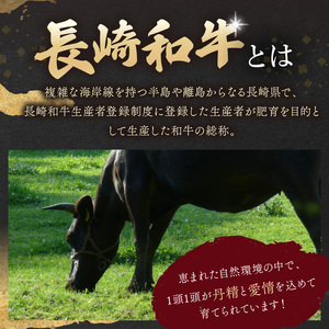 【厳選部位】【A4～A5】長崎和牛サーロインしゃぶしゃぶすき焼き用 500g( 肉 牛肉 牛 長崎和牛 国産牛 しゃぶしゃぶ すき焼き サーロイン )【B4-088】