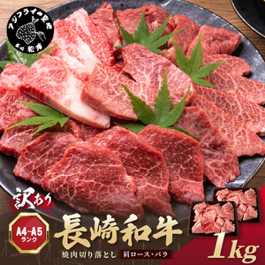 訳あり！【A4～A5】長崎和牛焼肉切り落とし(肩ロース・バラ)1kg(500g×2P)( 牛肉 おすすめ 長崎和牛 バーベキュー 焼肉 切り落とし 冷凍 国産 送料無料 )【C0-089】