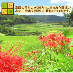 【令和6年産米】【3か月定期便】松浦の寒暖差が味の決め手!棚田浮立の里のお米「なつほのか」10kg×3回( 米 お米 ご飯 白米 定期便 松浦産 10キロ 長崎県 松浦市 なつほのか )【E2-008】