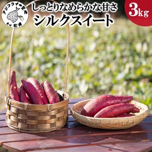 【A5-005】しっとり滑らかな甘さのさつまいも「シルクスイート」3kg