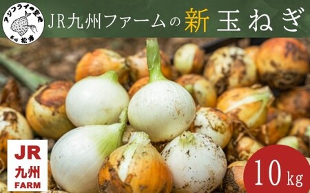 JR九州ファームの 新玉ねぎ 10kg( 玉ねぎ 甘い 野菜 新玉ねぎ 野菜 国産 送料無料 )【B7-023】