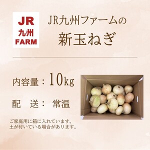 JR九州ファームの 新玉ねぎ 10kg( 玉ねぎ 甘い 野菜 新玉ねぎ 野菜 国産 送料無料 )【B7-023】