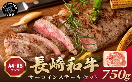 【A4～A5】長崎和牛サーロインステーキセット 750g(250ｇ×3枚)( 肉 牛肉 牛 長崎和牛 国産牛 サーロイン ステーキ ステーキ肉 お取り寄せ プレゼント ギフト 送料無料 人気 美味しい 返礼品 おすすめ )【C4-029】
