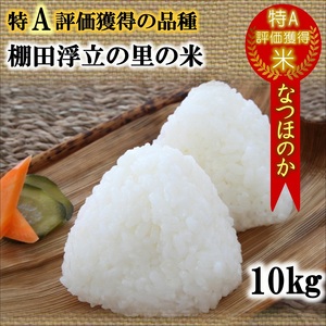 【B4-033】松浦の寒暖差が味の決め手!特A評価獲得の品種「なつほのか」棚田浮立の里のお米10kg
