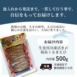 【B0-053】生食用冷凍活き〆福島くるまえび500ｇ