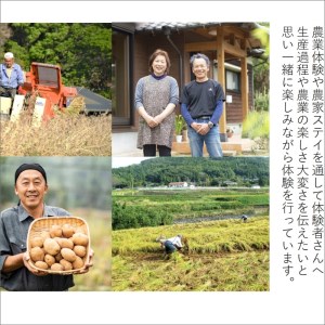 農漁村体験の聖地「松浦党の里」旬の野菜セット【B2-162】