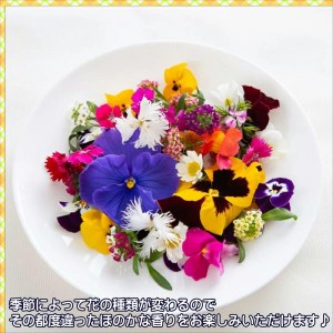 【B1-129】食べられる綺麗なお花　エディブルフラワー