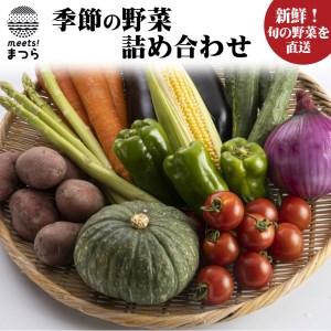 【A9-009】季節の野菜詰め合わせ（ 野菜 やさい 旬 セット 野菜セット 詰合せ 生野菜 ）