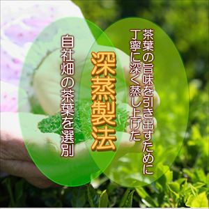 松浦茶セット(特上100g×1　高級100g×1)( 深蒸し茶 お茶 緑茶 茶 ミネラル 日本茶 松浦茶 セット )【A8-007】