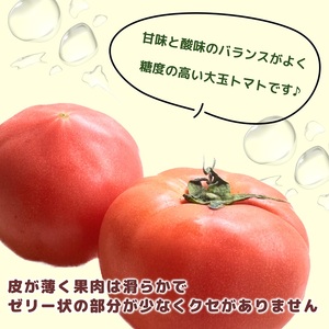 【A9-015】期間限定　真っ赤なトマト3kg～3.5kg 