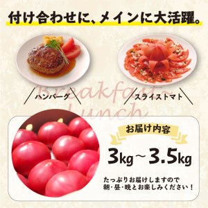 【A9-015】期間限定　真っ赤なトマト3kg～3.5kg 