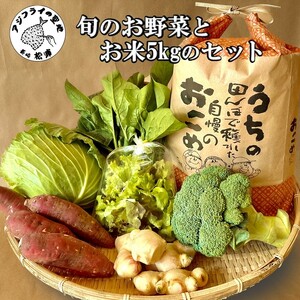 【B2-151】道の駅松浦海のふるさと館『旬のお野菜＋お米5kg』の大満足セット！