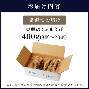 【先行予約】【宅配BOX不可】東興のくるまえび400g入( 車海老 くるまえび 車えび 活きくるまえび 活き車えび えび エビ 養殖 刺身 塩焼き 天ぷら 常温 贈答用 松浦市 送料無料 )【B6-029】