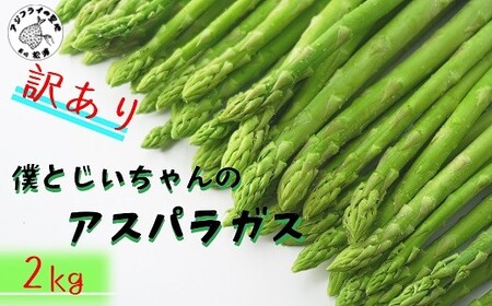 訳ありご家庭用に大活躍！僕とじいちゃんのアスパラガス2kg【B0-160】 訳あり 不揃い アスパラガス 大容量 新鮮 朝採れ 野菜 生産者直送