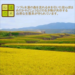 【B4-016】つづら水源の森を流れる水が育む松浦の米　「ヒノヒカリ又はコシヒカリ」石倉の誉10kg