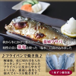 【B2-118】刺身用の養殖サバを焼き鯖で！昆布の旨味を含んでふっくら脂のりのり「贅沢な塩鯖」5枚