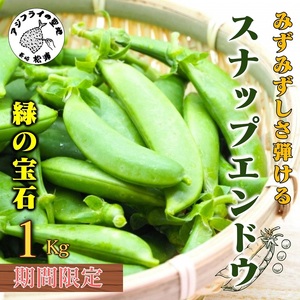 《期間限定》みずみずしさ弾ける！鷹島のスナップエンドウ1kg( えんどう エンドウ 豆 旬の野菜 野菜 新鮮 朝摘み 長崎県 松浦市 )【B0-161】