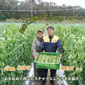 《期間限定》みずみずしさ弾ける！鷹島のスナップエンドウ1kg( えんどう エンドウ 豆 旬の野菜 野菜 新鮮 朝摘み 長崎県 松浦市 )【B0-161】