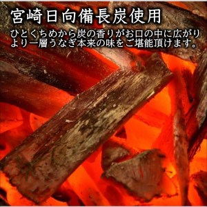 天保年間創業　祖川真兵衛総本家鶴屋　炭火焼海うなぎ　蒲焼き1尾【C0-052】