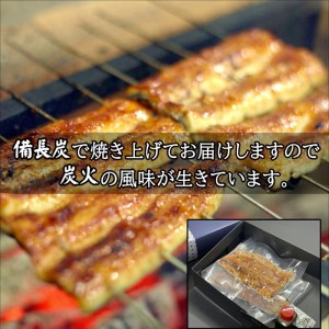 天保年間創業　祖川真兵衛総本家鶴屋　炭火焼海うなぎ　蒲焼き1尾【C0-052】