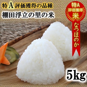 【令和6年産米】松浦の寒暖差が味の決め手!特A評価獲得の品種「なつほのか」棚田浮立の里のお米5kg( コメ 米 なつほのか 白米 精米 国産 送料無料 )【A8-012】