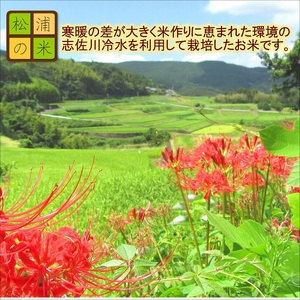 【令和6年産米】松浦の寒暖差が味の決め手!特A評価獲得の品種「なつほのか」棚田浮立の里のお米5kg( コメ 米 なつほのか 白米 精米 国産 送料無料 )【A8-012】