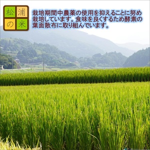 【令和6年産米】松浦の寒暖差が味の決め手!特A評価獲得の品種「なつほのか」棚田浮立の里のお米5kg( コメ 米 なつほのか 白米 精米 国産 送料無料 )【A8-012】