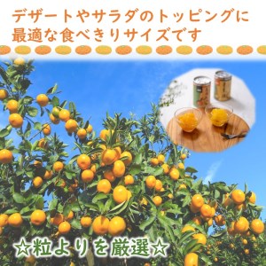 【B1-137】松浦のさば3種と長崎みかん缶セット【ギフト箱入り】