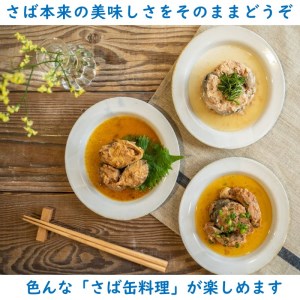 【B1-138】松浦のさば缶詰3種セット