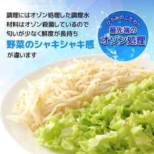 【C9-005】長崎伝統の味　ひふみの長崎ちゃんぽん10個セット