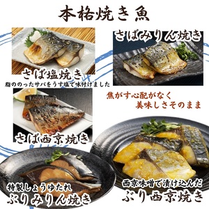 漁協直送！レンジで本格焼き魚と揚げ物10種セット【C3-018】