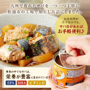 さば味噌煮缶セット(12缶)【B2-110】