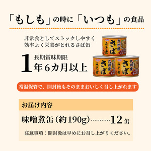 さば味噌煮缶セット(12缶)【B2-110】
