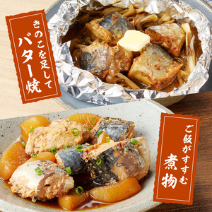 さば味噌煮缶セット(12缶)( 保存食 非常食 防災 備蓄 長期保存 )【B2-110】