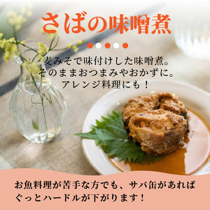 C4-010】さば味噌煮缶セット(24缶) | 長崎県松浦市 | ふるさと納税