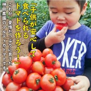 【A9-013】期間限定　大切に育てたフルティカトマト1.2kg