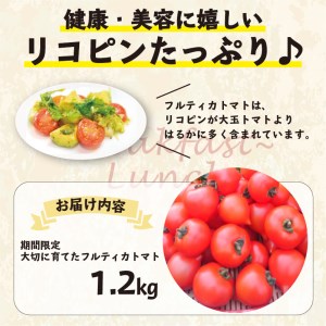 【A9-013】期間限定　大切に育てたフルティカトマト1.2kg
