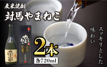 【12/25入金分まで年内発送】麦米焼酎 対馬やまねこ 25度 720ml 2本セット 酒 米焼酎 麦焼酎 焼酎  [WAX009]